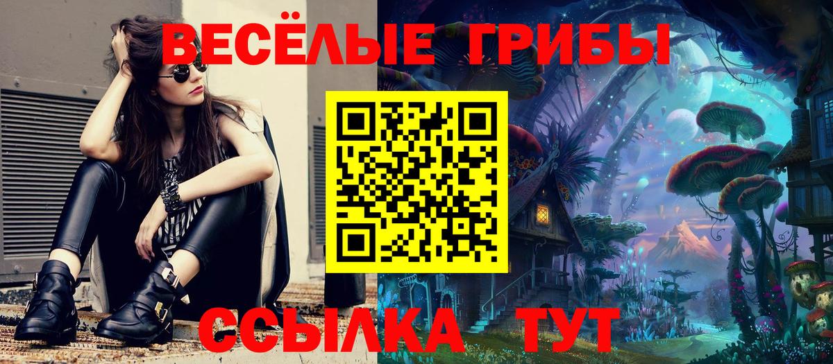 Хасавюрт  Галлюциногенные грибы Psilocybine cubensis  купить закладку  Галлюциногенные грибы MAGIC MUSHROOMS  Вход с VPN 